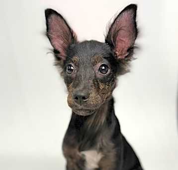 Photo of Fritzi