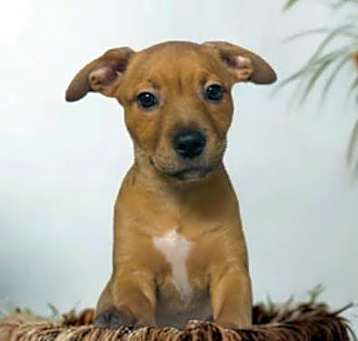 Photo of Adora
