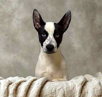 Photo of Heidi