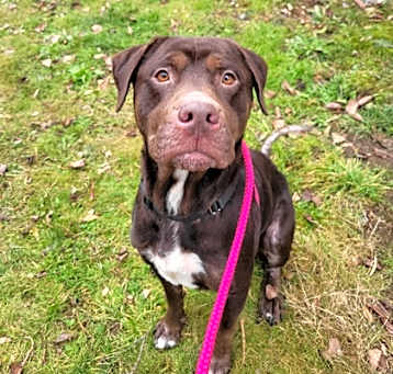 Photo of Freya