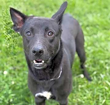 Photo of Nox