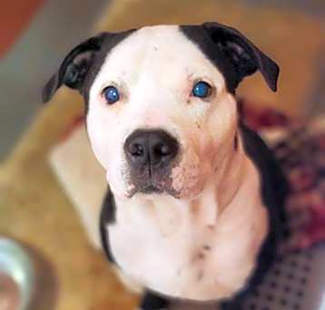 Photo of MURPHY