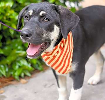 Photo of Lola
