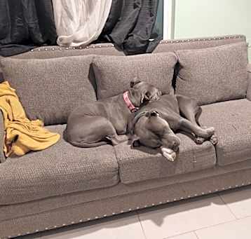 Photo of Blue