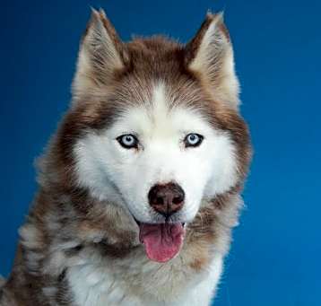 Photo of MAX