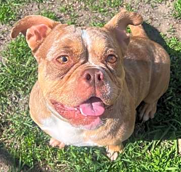 Photo of Betty