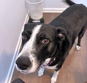 Photo of Macy