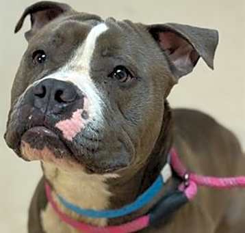 Photo of REMY
