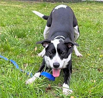 Photo of ROXY
