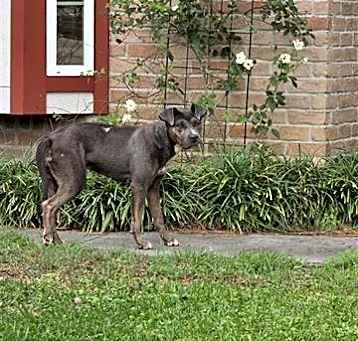 Photo of A636863
