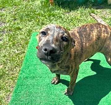 Photo of Thena