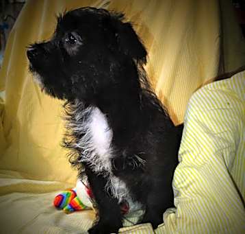 Photo of Simon