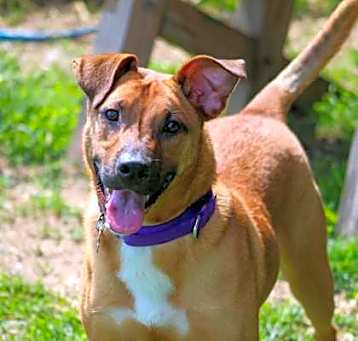 Photo of Tyson