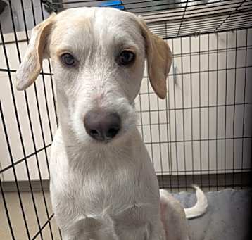 Photo of Axel