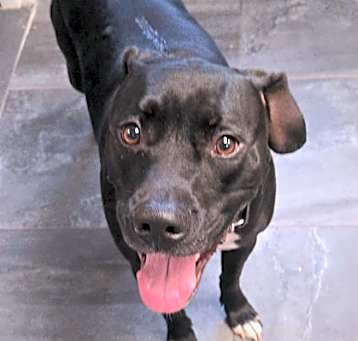 Photo of Remington
