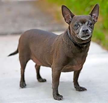 Photo of DARC