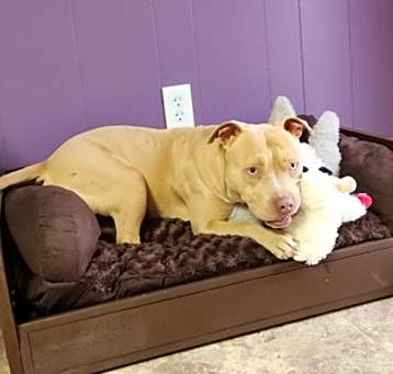 Photo of Atlas