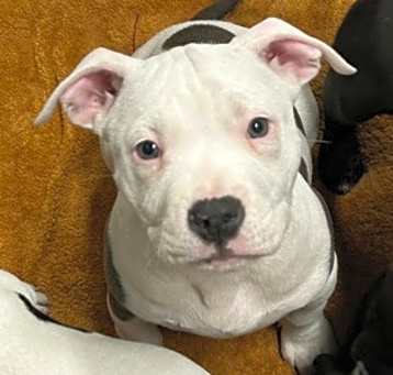 Photo of Manny