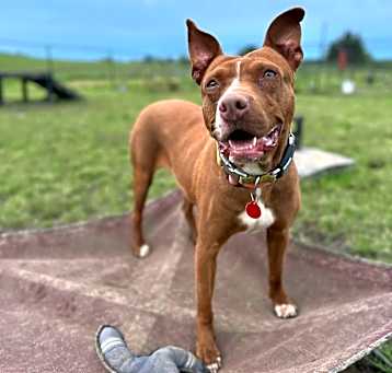Photo of Grace