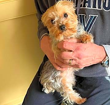 Photo of Pippa