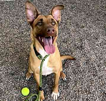 Photo of COSMO