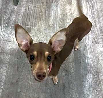 Photo of HARPER