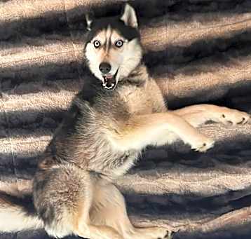 Photo of Kaya