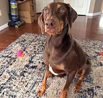 Photo of Aero