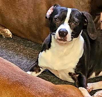 Photo of Cash