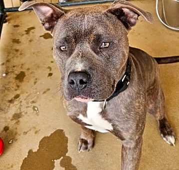 Photo of Tank