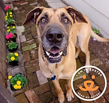 Photo of Zeus
