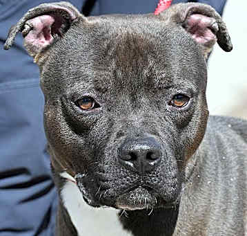 Photo of Coco