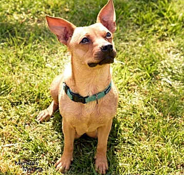 Photo of Maggie May