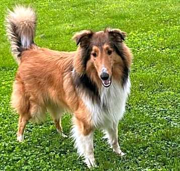 Photo of Mac