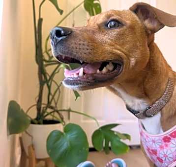 Photo of Kaida