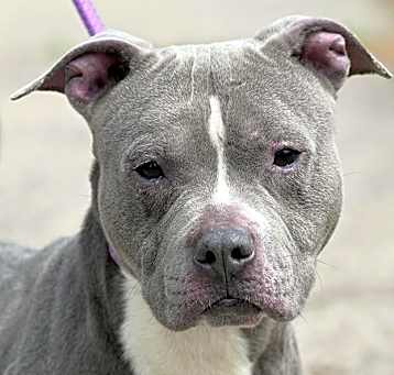 Photo of CHUNK