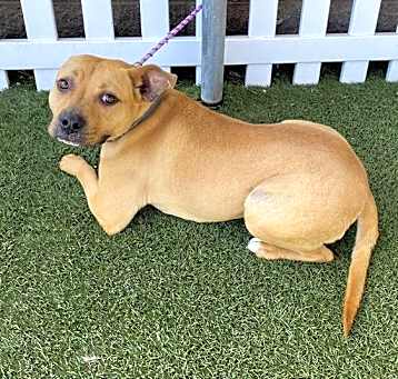 Photo of NALA