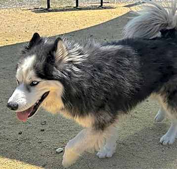 Photo of ARLO