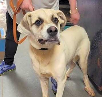 Photo of Stryker
