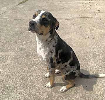 Photo of Riddick
