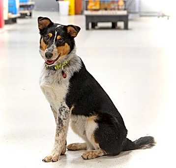 Photo of Ralph