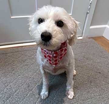 Photo of Maddie