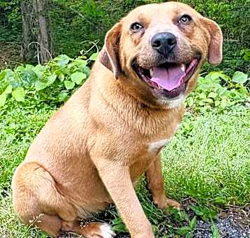 Photo of Molly