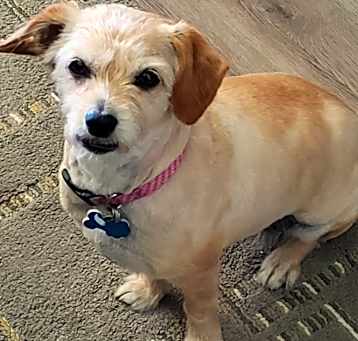 Photo of Molly