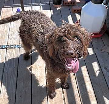 Photo of Winnie