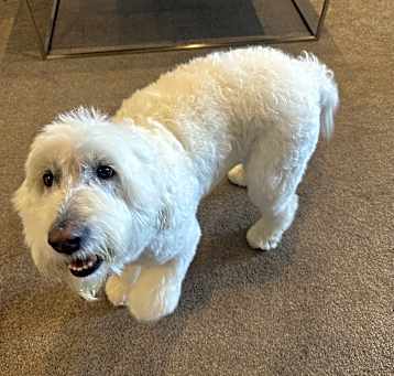Photo of Molly