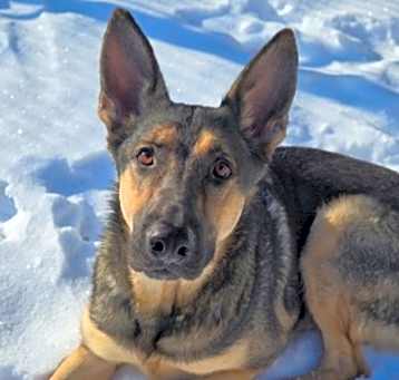 Photo of Thor