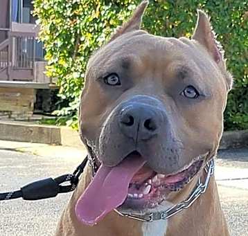 Photo of Bane
