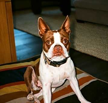 Photo of Rogue