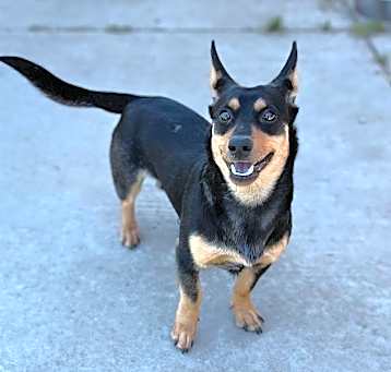 Photo of *AMARO